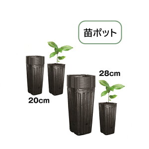 yz c|bg c|bg [^ O|bg rj[ |bg c؃v^[