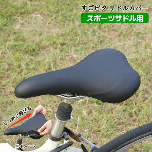 ] ThJo[ ̂с[ XSs^ X|[cThp ubN aile G[ X|[coCN NXoCN