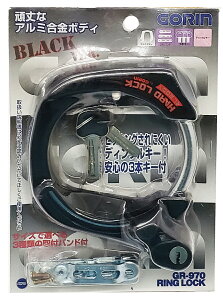 ]  _CJXg ObN fBvL[ ubN O n Œ VeBTCN WO^ GORIN S