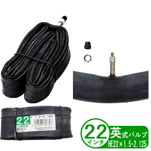 ] `[u 22C` HE 22x1.75 p pbP[W a ܂肽 qp