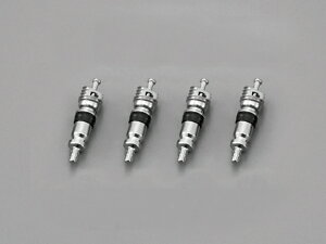 yDAYTONAz fCgi@77542@^CouRA 4@yoCNpiz