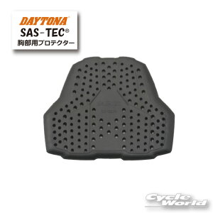 yKizyDAYTONAzSAS-TEC@pveN^[ p`O^Cvy99172zyoCNpiz