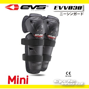 �����K�i�yEVS�zEVV030�@MINI �I�v�V���� �j�[�V���K�[�h�s�~�j�t�@�@�I�t���[�h�@���g�N���X�@�v���e�N�^�[�@��@�@�A�[���G�X�^�C�` RS�@�^�C�`�@�j�[�K�[�h�@RS TAICH�y�o�C�N�p�i�z