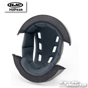 ���yHJC�zHJP528�b�C���i�[���C�i�[ : C10 �W���I�v�V�����@�t���t�F�C�X�@ RS�^�C�`�y�o�C�N�p�i�z