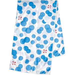 COO. N[^I TbNX|Jhbg TCYF30×100/pbP[WFW14 H21 A671SP