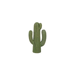 �I�u�W�F �J�N�^�X ����275×��160mm �X�^�C���^�C�vE CACTUS E K655-657E
