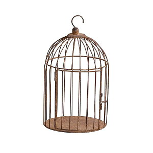 ���B���e�B�[�E�o�[�h�P�[�W ��20.5×37cm