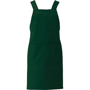 ăGv jp C[W[PAV[Y ɂ ɋ Yɋ 9FWJ H^  Gv yωfH^Xgb`^͂^d^l[[v^y|