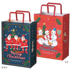 y50z {  22×12×31cm lCr[/bh ȃNX}X y[p[obO XPL-1P