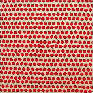 C~ bh 100×100cm TFD-2005 񂾂