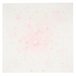 C~ ׂ鎆ӂ낵  20 650×650mm { sN No.605