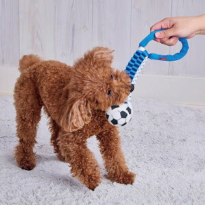 犬用おもちゃ PLAY スポーティボールテープ サッカーボール
