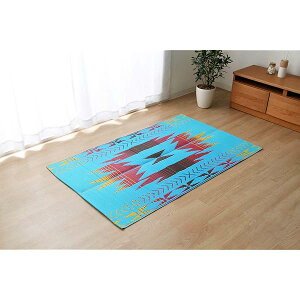 CPqR PPsNjbNV[g Xg AEghA u[ 87×140cm 2127140