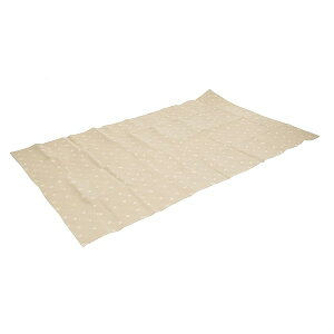 LveX^bO(CAPTAIN STAG) AEghA }bg v[}bg 300×180cm J[L UB-3085