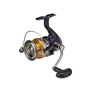 �X�s�j���O���[�� 20 �N���X�g LT5000-CXH(2020���f��)