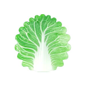  ͂ uPbg 킢 t[X Ԃ  Q xr[ V  Pbg xr[uPbg   ^I ӂӂ xr[Pbg