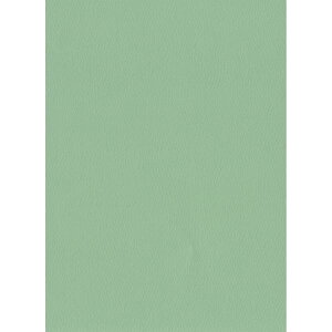 Fp X^[EF[u  N[o[ 100 5008811