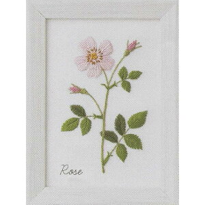 LECIEN(VA) hイLbg wؘaq12̐A蒟 [Yx (RX) 10×13.6cm 542006