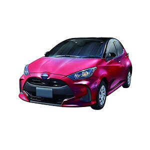 g^ XpVF[h 2020N2f tgKX悯 iԁFSA-344