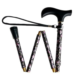 CtXebL ܂肽ݐLk^ ubN 009715