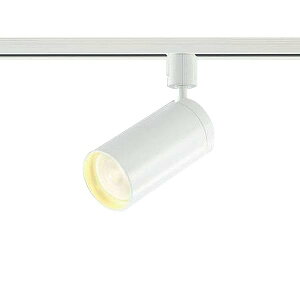 �Ɩ� �R���p�N�g�X�|�b�g���C�g ���� �v���O 30° JDR100W���� �t�@�C���z���C�g�h�� AS43975L