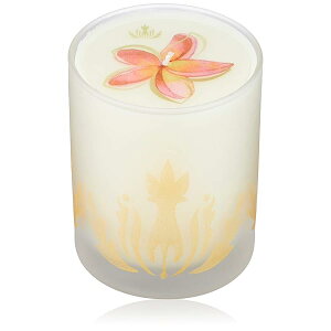 �\�C�L�����h�� �v�������A 240g