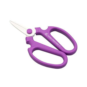 (Sakagen)  nhNG[V F180 tbfR[eBO 18×11cm { p[v 55143