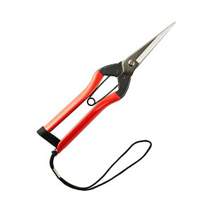 �g�� ����� �X�e�� 210mm ���Y ���{�� �V�����O�� �ׂ�����ƌ��� �T�r�E�V�u�ɋ��� ��؂̎��n�� �ʎ��̉�؁E�E�ʂ� �L���E���̎��n�ڈ��ɍœK