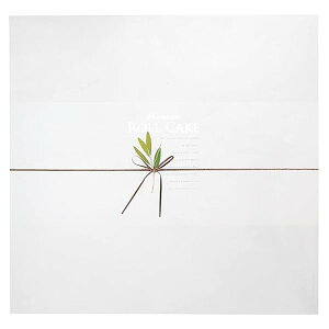 { tB 31×30cm i` 100 tHgvg [P[Lp PPN-OF1