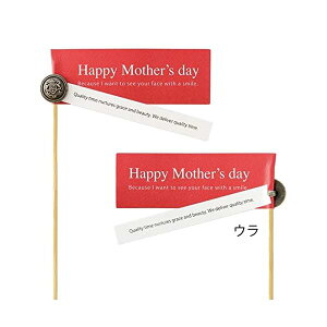 t[sbN 10.3×5.7(S51)cm bh{^ 10{ ̓ HMA-FP69