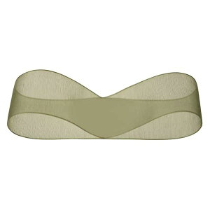 { 2.5cm×30m XO[ 1 I[KW[{ OR2514