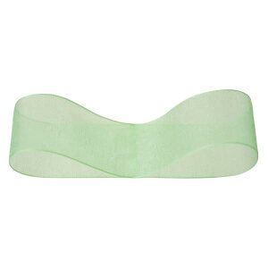 { 2.5cm×30m ~gO[ 1 I[KW[{ OR2519