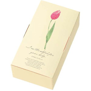 Mtg{bNX 8×5×15cm × 20 `[bv TLP-GS2