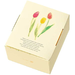 Mtg{bNX 8×9.5×5.5cm i` 20 `[bv TLP-GXS