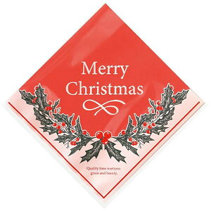 { V[obO 12×12cm bh 100 NX}X [X V[N[ no[K[ XMW-SQC