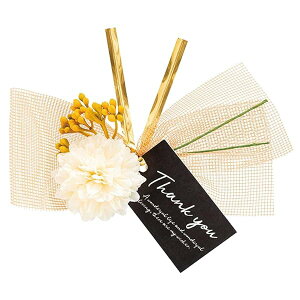 C[^C 16×12cm  10 t[ AW  i` ZAR-YT1