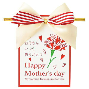 C[^C 10.5×14.5cm bh 10 ̓ }U[YfC n[g J[l[V MA-YT4