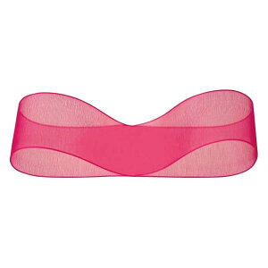 { 2.5cm×30m rrbgsN 1 I[KW[{ OR2516