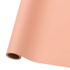 bsOJ[PP[ T[sN W50cm×13M 1 u[P ԑ WRP-RO6