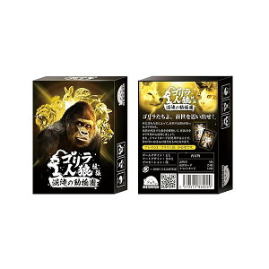 SlTg ׂ̓ 4573512860029