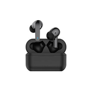 ���S���C�����X �X�e���I�C���z�� �O���捞/ANC BK BL-113