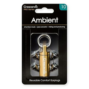 PRO  y/WY/R[fBOp C[veN^[ Ambient 10