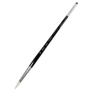 (nakasato) ʕM iC SNR666 ی^ 10