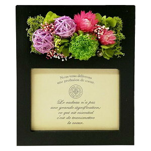 vU[uht[ tHgt[ aubN 16×19×10cm L p{bNX