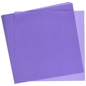 [ ܂莆 Жʂ肪 PF 24cmp ӂ 50 075131