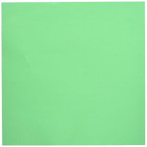 [ ܂莆 Жʂ肪 PF 35cmp  50 076120