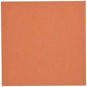 [ ܂莆 Жʂ肪 PF 24cmp  50 075150