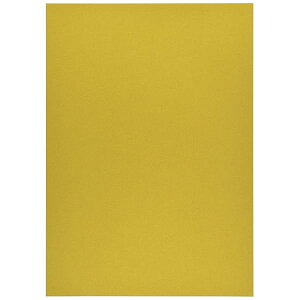 NJ[ A4 񂢂() 10 i-CRM001