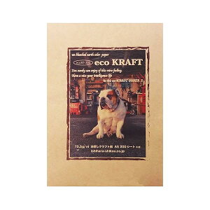 クラフト紙 A5 200枚 エコクラフト ecoA5-200