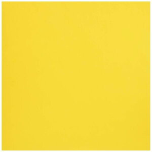 [ ܂莆 Жʂ肪 PF 35cmp ܂Ԃ 50 076107